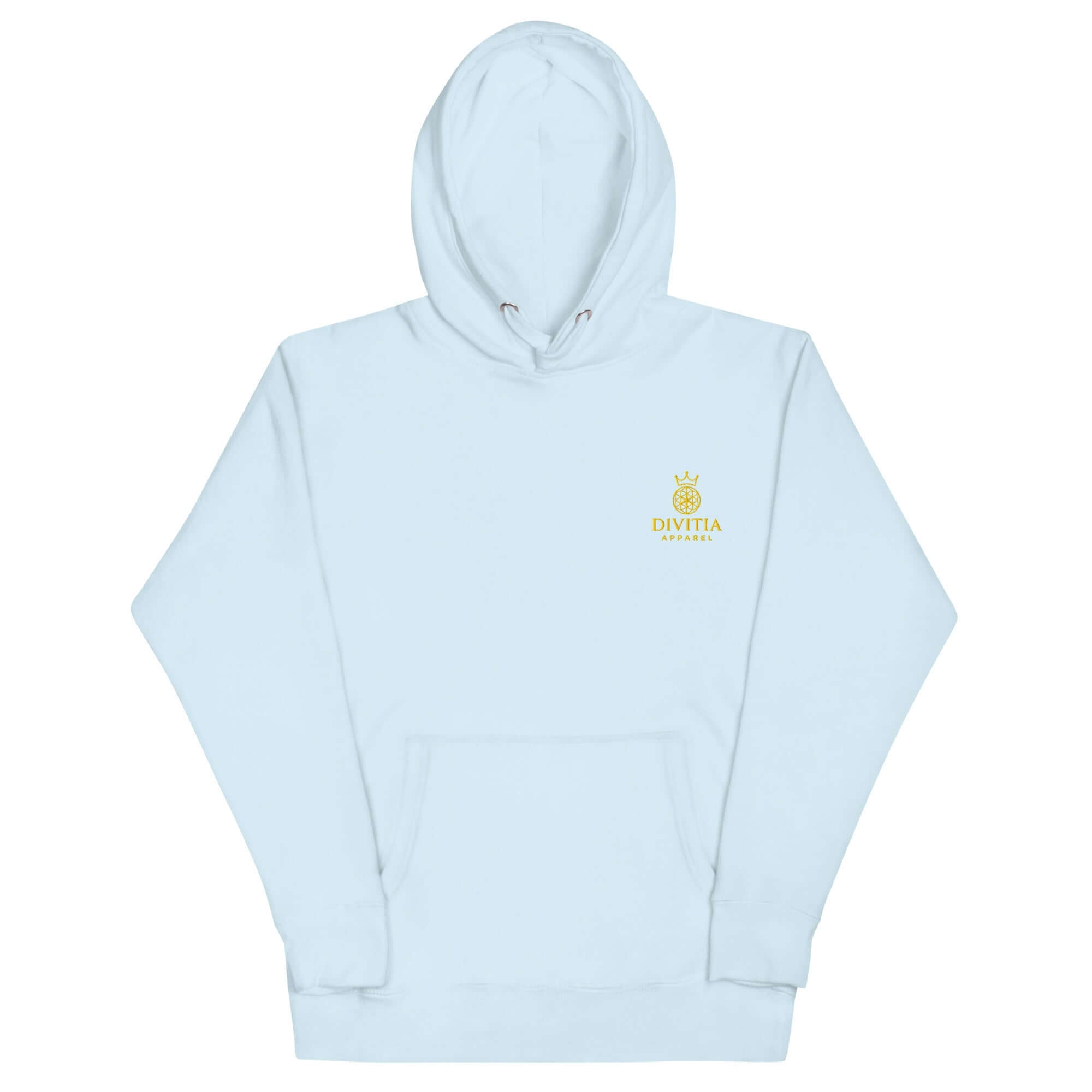 Hoodie Divitia unisex streetwear with front pouch pocket and comfort-fitted hood, premium cotton blend in light blue color