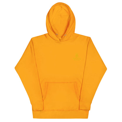 Hoodie Divitia unisex streetwear D&amp;A in orange with front pocket and hood, made from high-quality cotton for comfort and style.